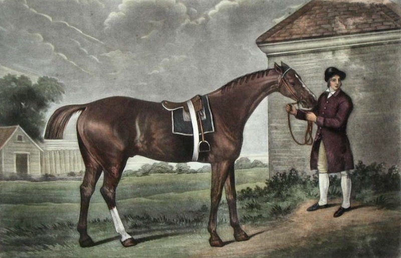 Equine Phenomenon: Eclipse Captured by George Stubbs in a Celebrated 18th-Century Portrait