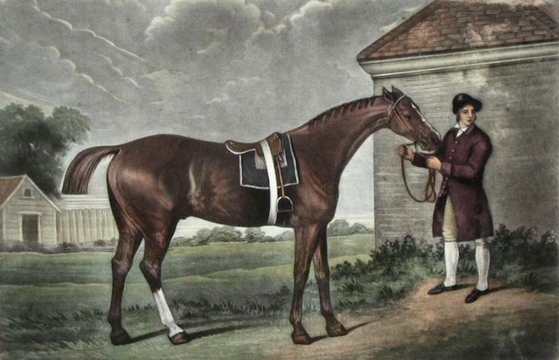 Equine phenomenon: Eclipse as captured by George Stubbs in a celebrated 18th century portrait