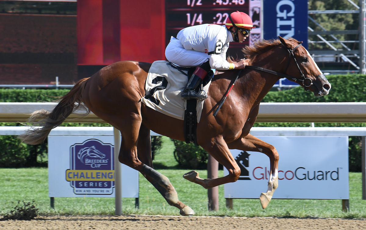 Classic Causeway, pictured here making a winning debut at Saratoga last summer, has inherited his father’s looks – and plenty of his ability. Photo: NYRA/Adam Coglianese