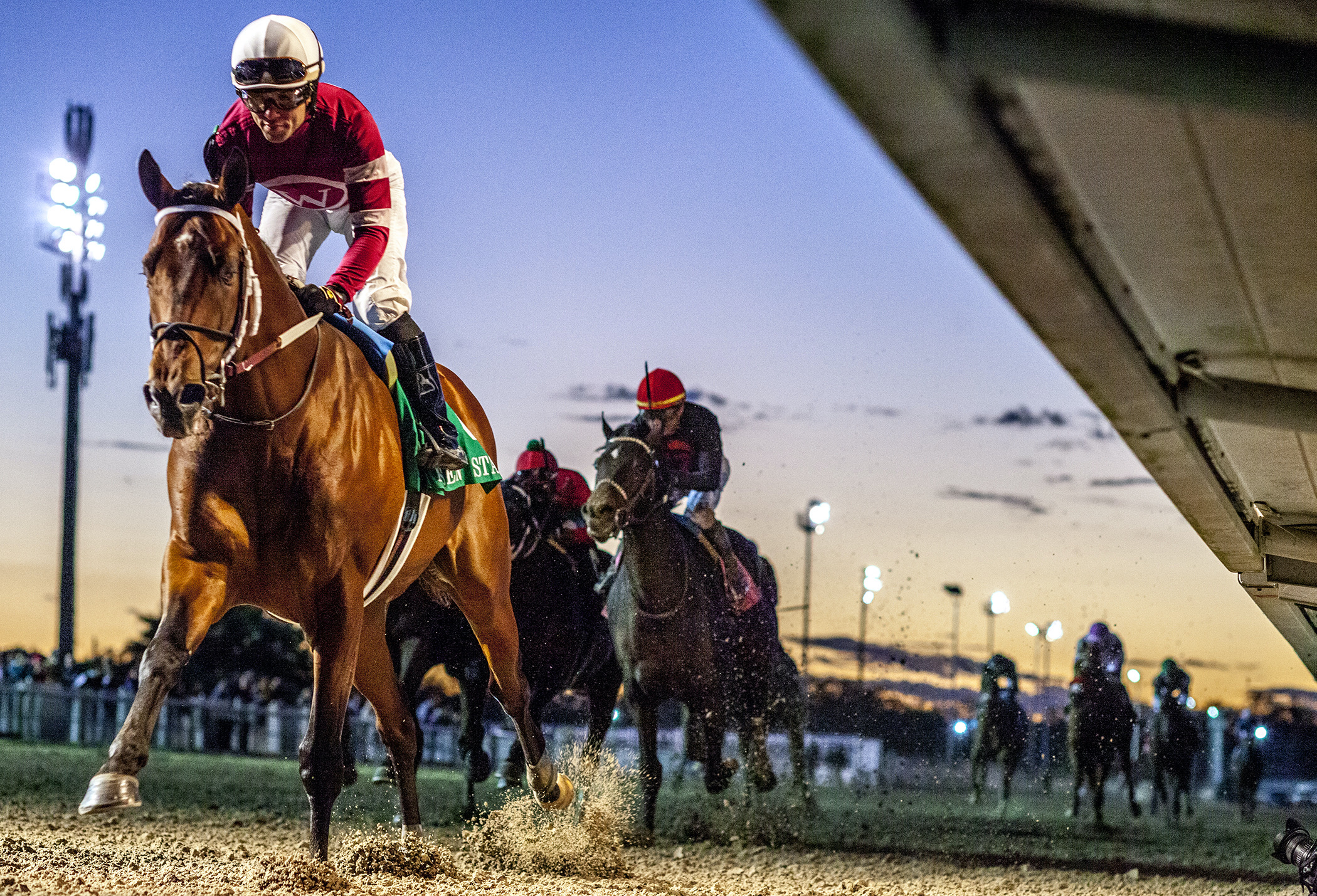 Kentucky calling: Louisiana Derby winner Epicenter’s pedigree goes back to Secretariat mare Tweak via his sire Not This Time. Photo: Hodges Photography / Amanda Hodges Weir