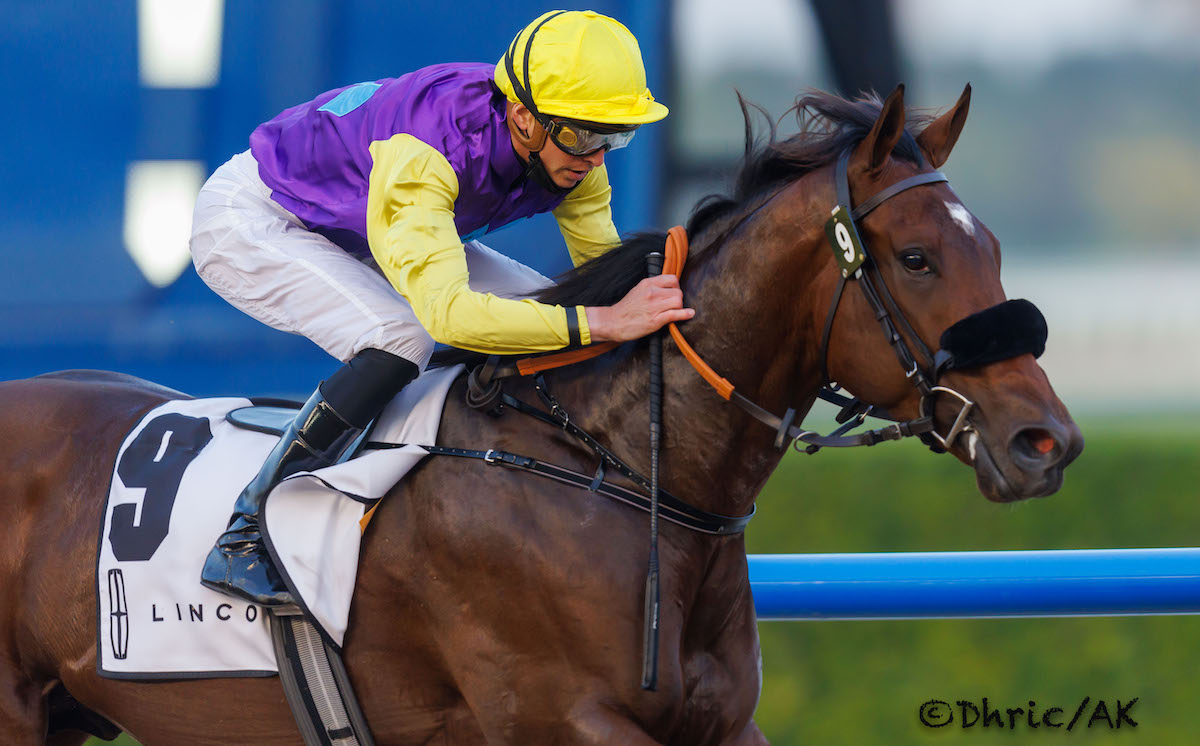 Summer Is Tomorrow: eight-length winner at Meydan before coming second in the UAE Derby. Photo: Dubai Racing Club