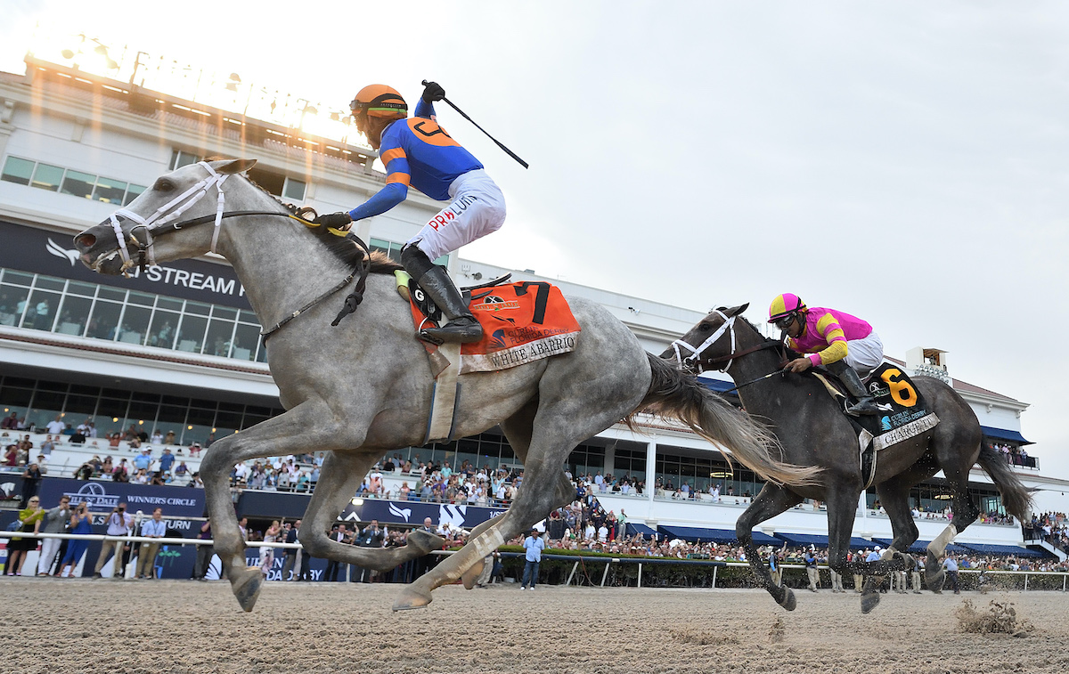 Whip-waving Tyler Gaffalione celebrates as White Abarrio beats Charge It in the Florida Derby. Photo: Lauren King / Gulfstream Park