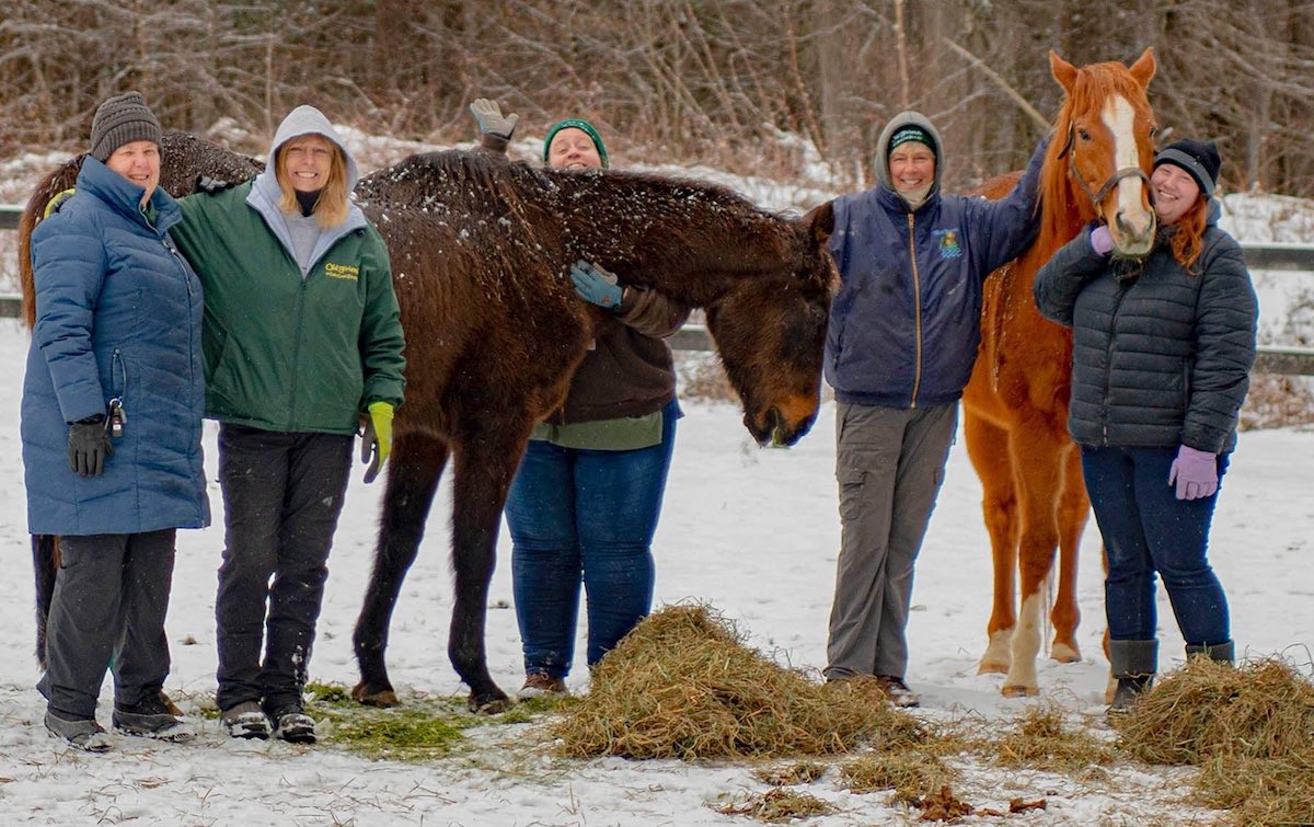 Happy New Year: Zippy Chippy and Red Down South with the team at Cabin Creek at the start of January 2022. Photo: Old Friends at Cabin Creek