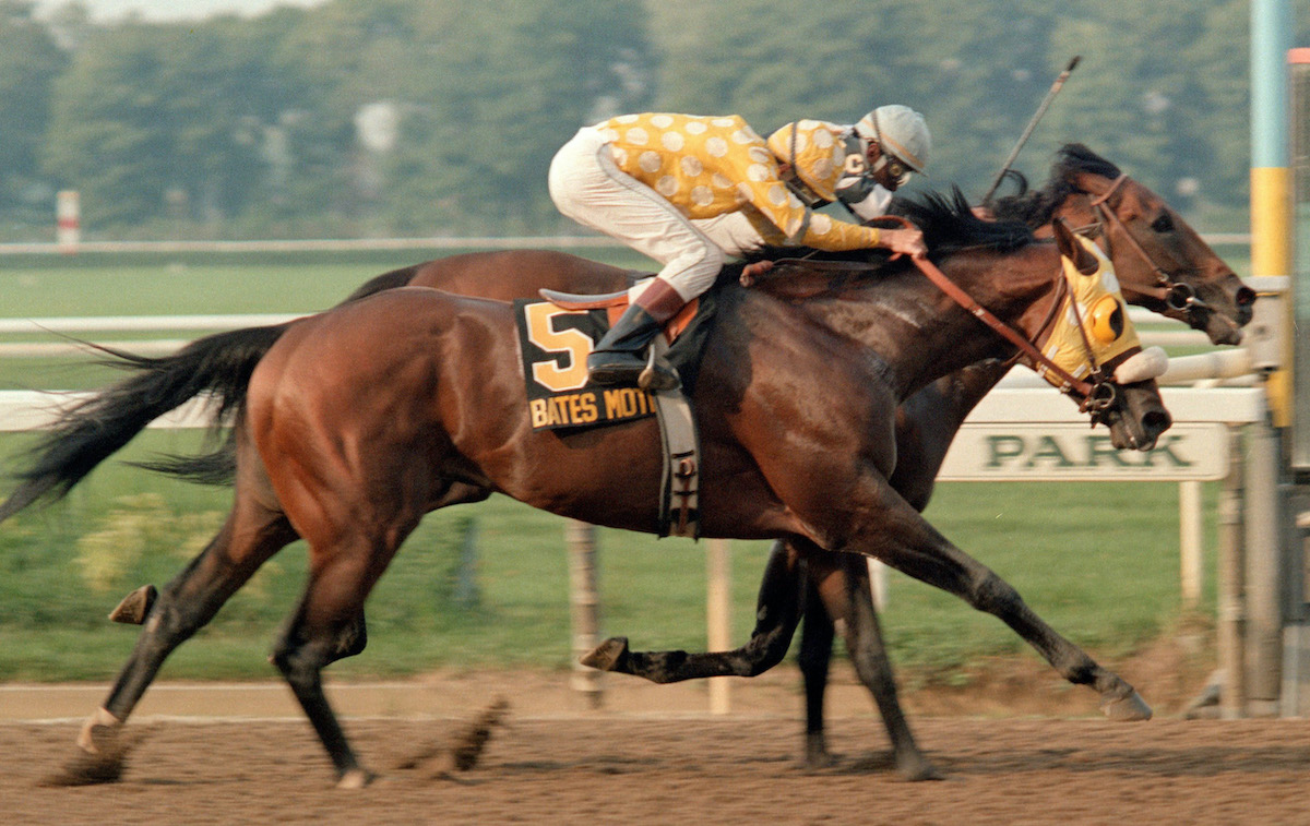 Bates Motel loses a heartbreak head-bob to the younger Slew o' Gold in the 1983 Woodward Stakes at Belmont Park. Photo: Bob Coglianese