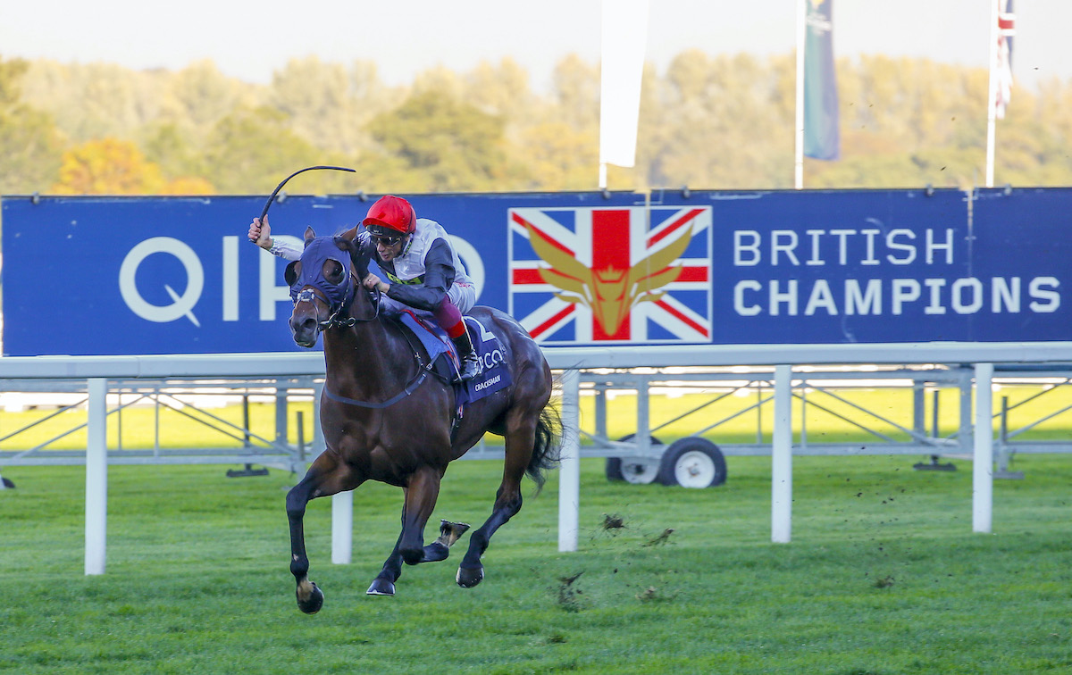 World class: Cracksman, pictured here winning his second Champion Stakes, looks to have all the necessary tools. Photo: Mark Cranham / focusonracing.com