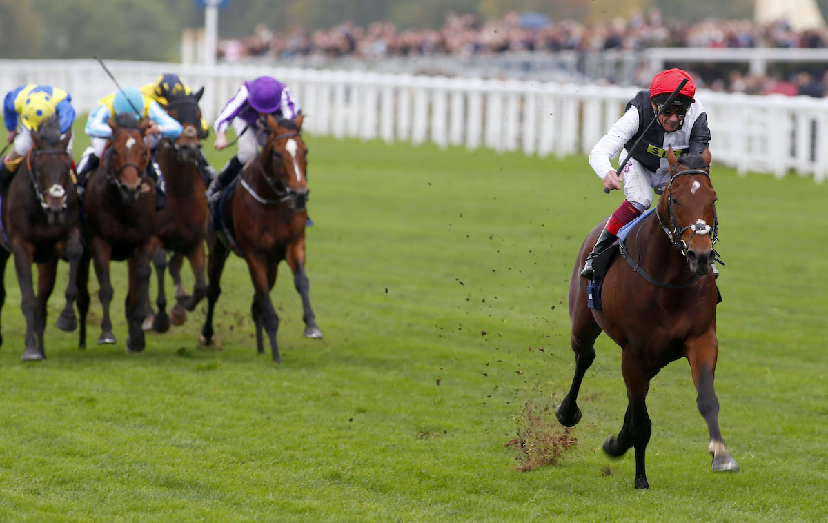 Out on his own: Cracksman storms clear to win his first Qipco Champion Stakes under Frankie Dettori in 2017. Photo: Dan Abraham / focusonracing.com