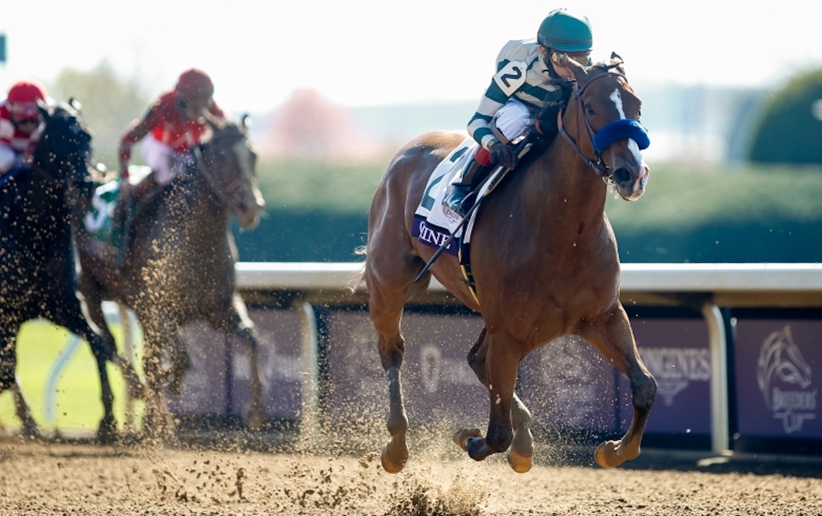 Gamine: subsequent Breeders’ Cup-winning filly tested positive after an allowance race at Oaklawn Park. Photo: Breeders' Cup/Eclipse Sportswire (Carolyn Simancik)