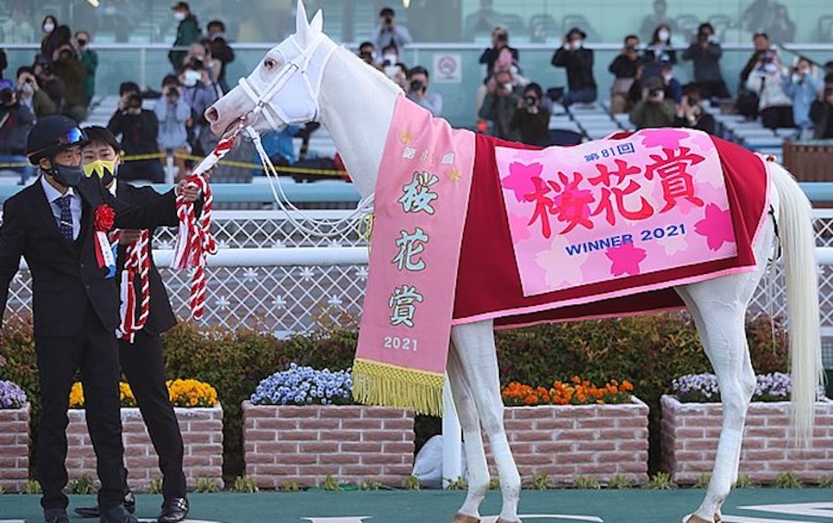 Classic heroine: Sodashi, pictured here after winning the Oka Sho (1,000 Guineas) in April 2021, was the first and only white horse to win a G1 ace in Japan. Photo: Masakazu Takahashi