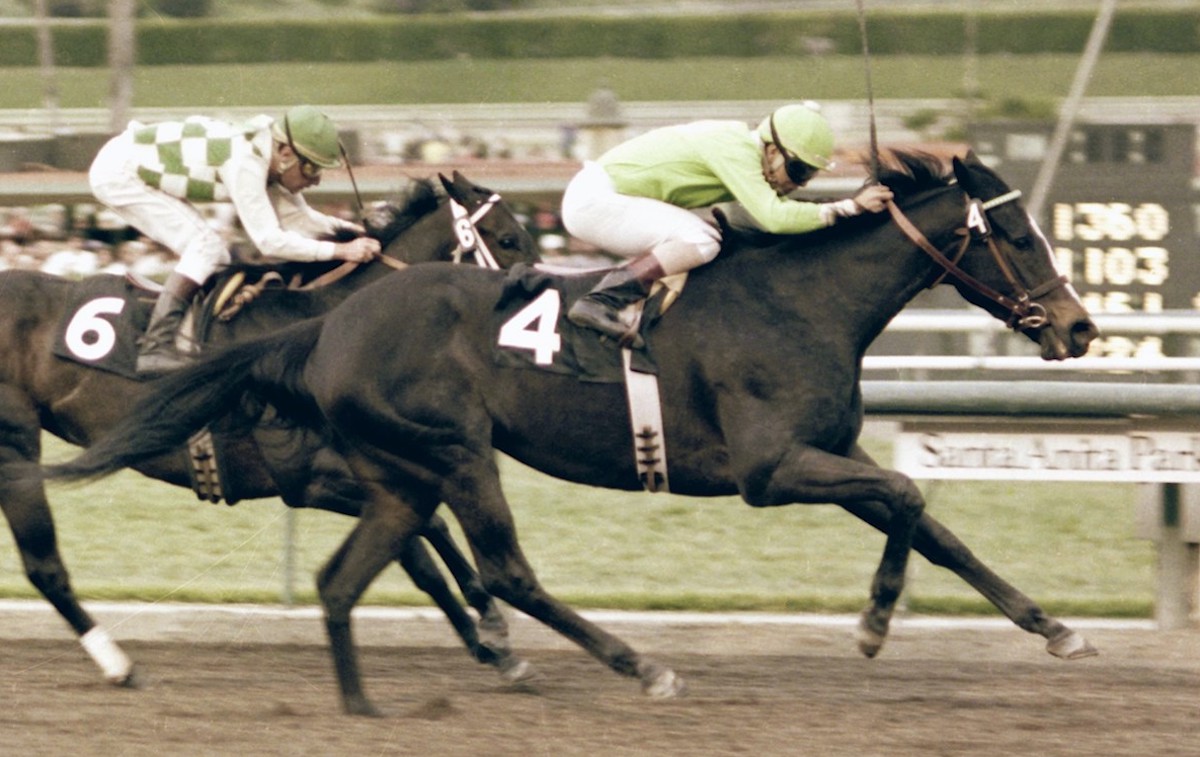 Fran’s Valentine continued to be a forceful performer at age four, winning the Santa Maria Handicap at Santa Anita Park. Photo: Benoit