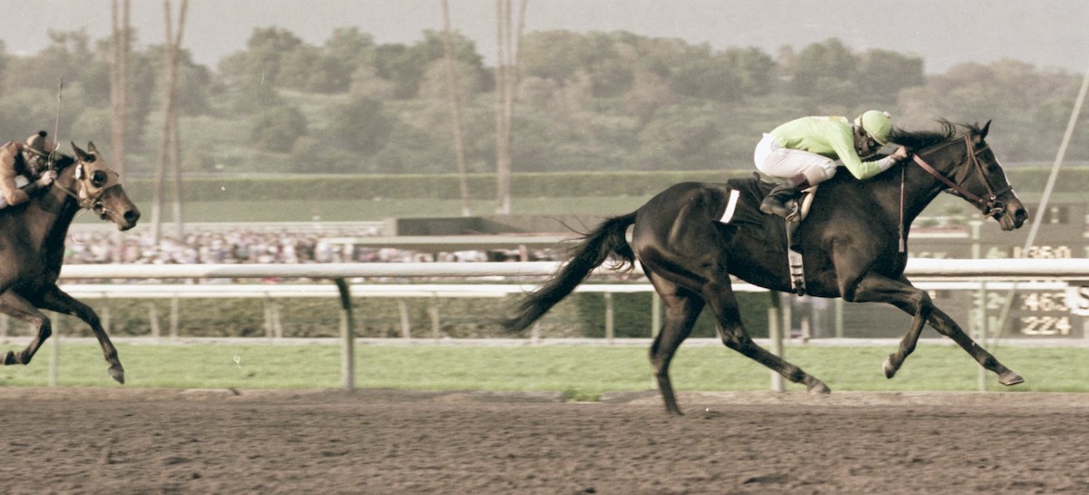 Fran's Valentine was easily best of the west in the 1985 Santa Susana Stakes, later rechristened the Santa Anita Oaks. Photo: Benoit