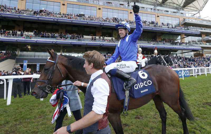 Ascot triumph: Jim Crowley celebrates after Baaeed completes his three-year-old campaign with victory in the Queen Elizabeth II Stakes. Photo: Dan Abraham / focusonracing.com