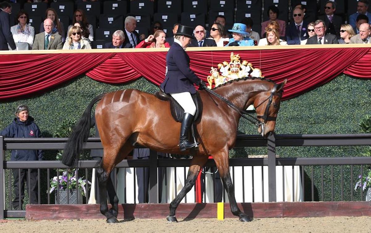 Barbers Shop and Katie Jerram-Hunnable in front of HM The Queen at Windsor. Photo: Retraining of Racehorses