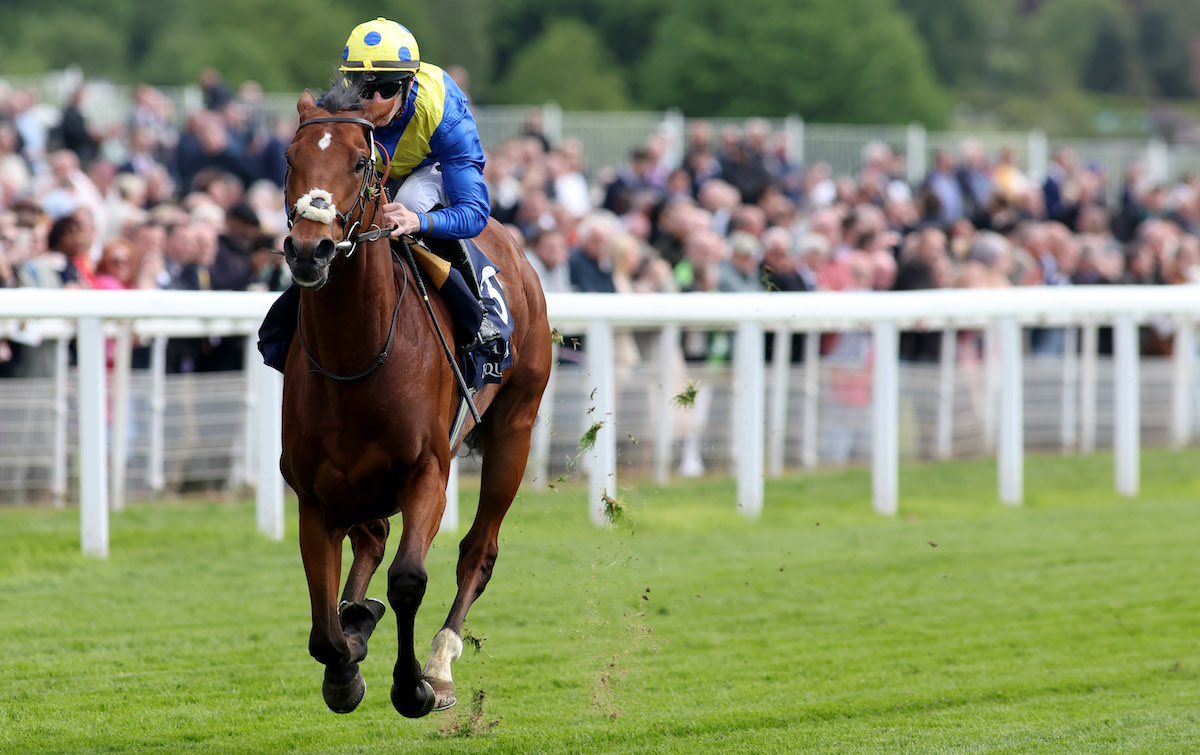 Next stop Epsom: Desert Crown (Richard Kingscote) goes clear in the Al Basti Equiworld-sponsored Dante Stakes. Photo: Dan Abraham / focusonracing.com