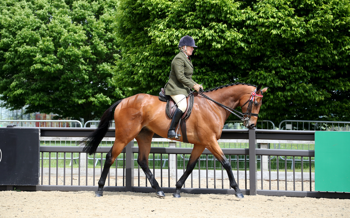 From Royal Ascot to Royal Windsor: First Receiver and Katie Jerram-Hunnable recently competed at the Royal Windsor Horse Show. Photo: Retraining of Racehorses