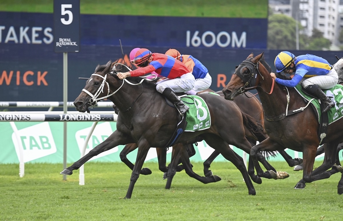 Verry Elleegant in G1-winning action under James McDonald in the Chipping Norton Stakes at Randwick in February. Photo: NZ Racing Desk / Bradleyphotos.com.au