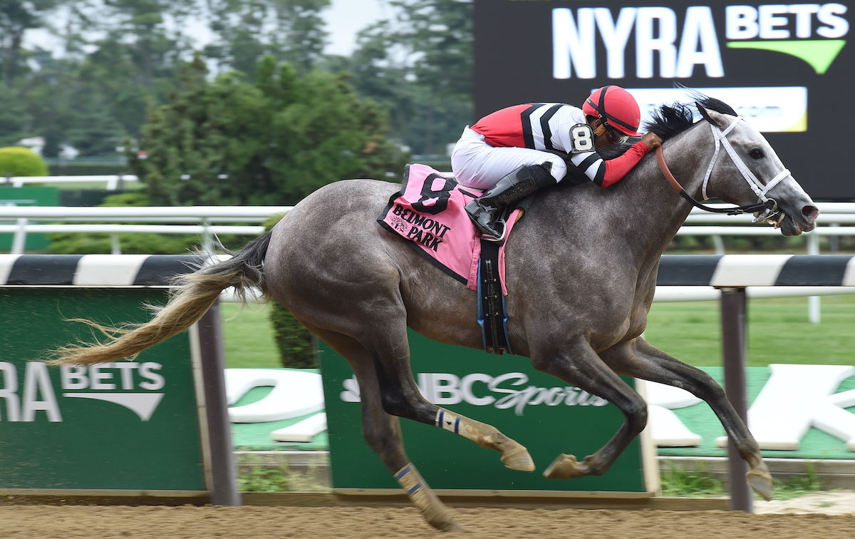 Fish Trappe Road: won G3 Dwyer Stakes at Belmont under Luis Saez in July 2016 before being shipped to Puerto Rico. Photo: NYRA/Coglianese
