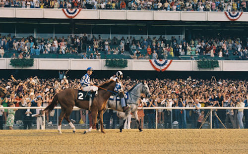 ‘The greatest horse was and still is Secretariat’: Dave Johnson called the 1973 Belmont for the track. Photo: NYRA/Coglianese