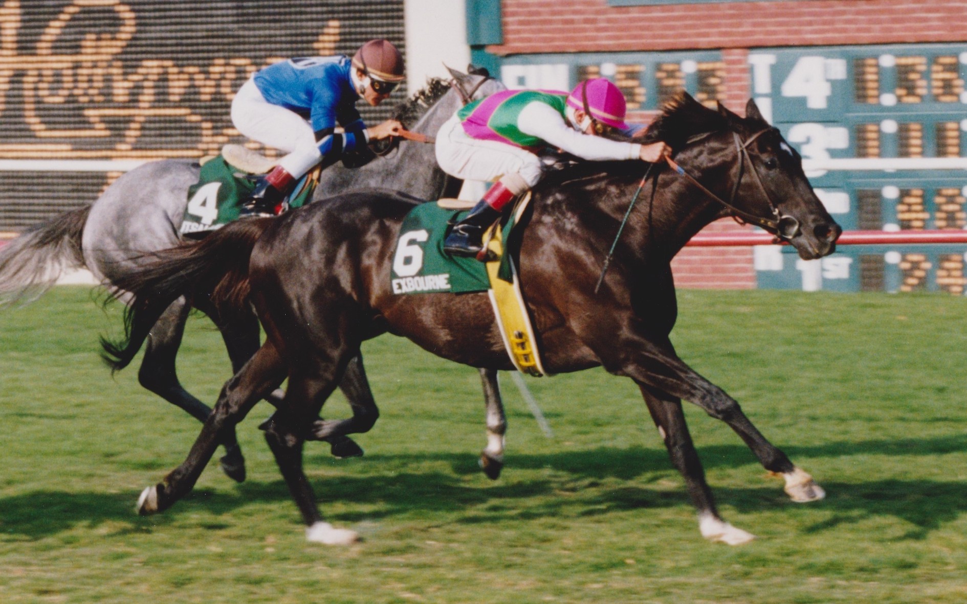 Neither champion Itsallgreektome nor Breeders' Cup winner Prized are a match for Exbourne in the 1991 Hollywood Turf Handicap. Photo: Stidham & Assoc., courtesy of Hollywood Park and provided by Edward Kip Hannan & Roberta Weiser
