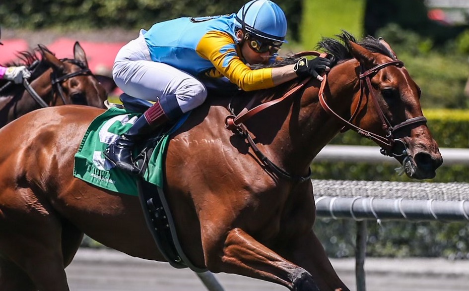 That winning feeling: Ryan Curatolo drives out Neil Drysdale-trained Ever Smart to score at Santa Anita. Photo: Ernie Belmonte