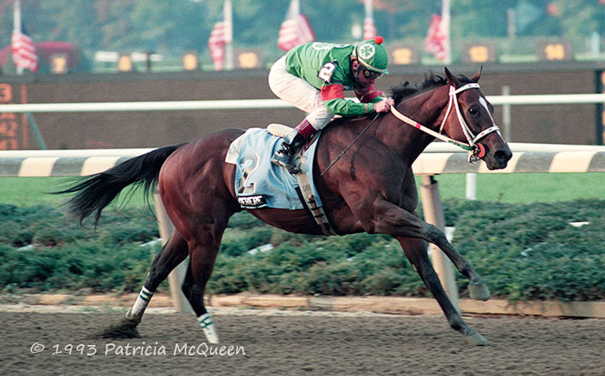 Champion two-year-old Dehere, pictured here winning the Champagne Stakes, was a grandson of Secretariat. Photo: Patricia McQueen