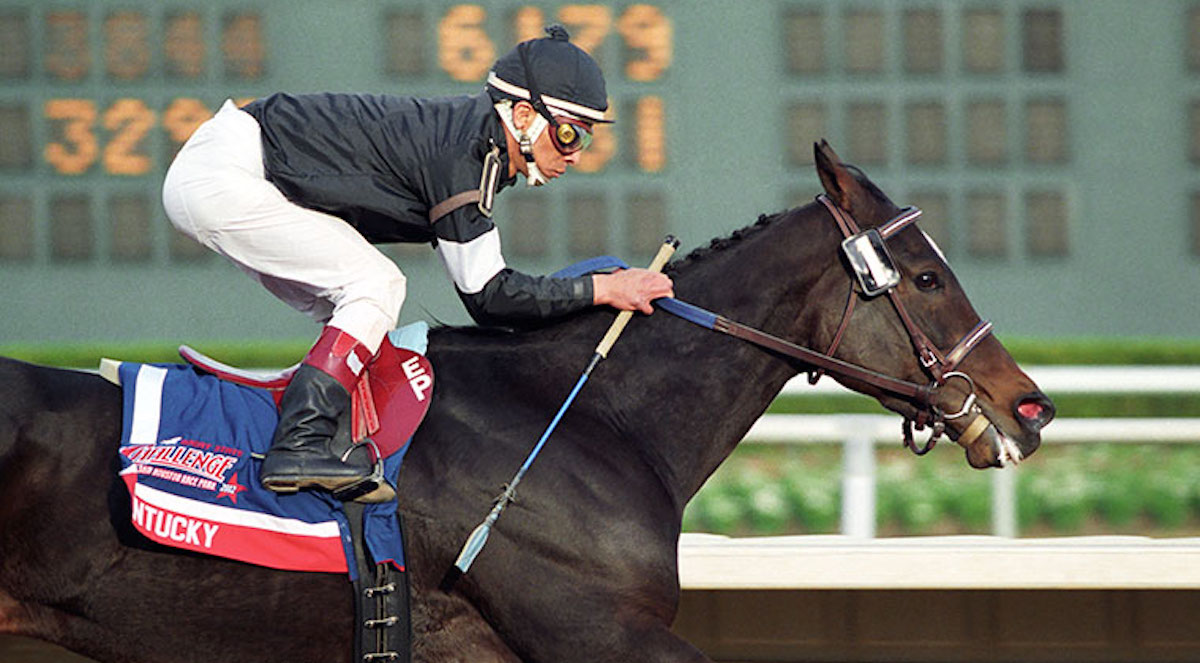 Take Charge Lady: a multiple G1-winning daughter of Dehere, who was out of the Secretariat mare Sister Dot. Photo: Patricia McQueen