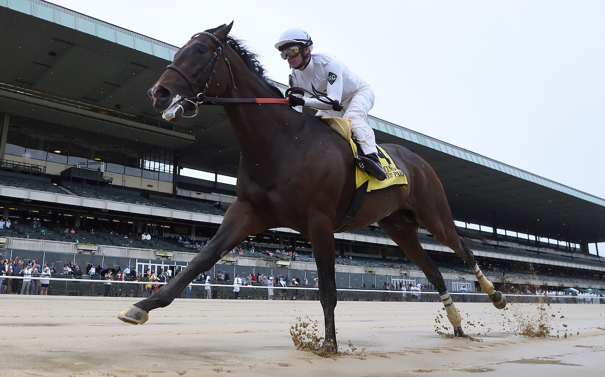 We The People (Flavien Prat) well clear in the Peter Pan at Belmont. Photo: NYRA / Coglianese