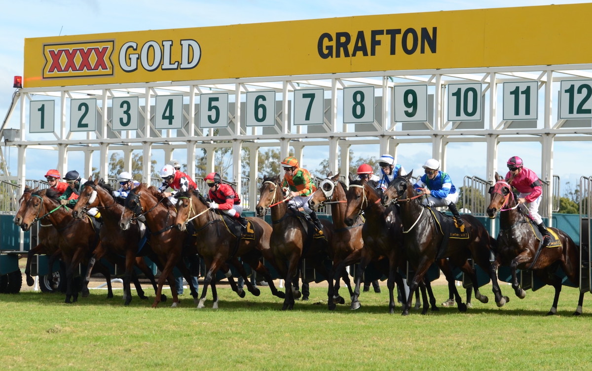 Racing at Grafton: Ash Morgan has 20 winners to his name at the so-called ‘Randwick of the North’, one of the most popular NSW country tracks