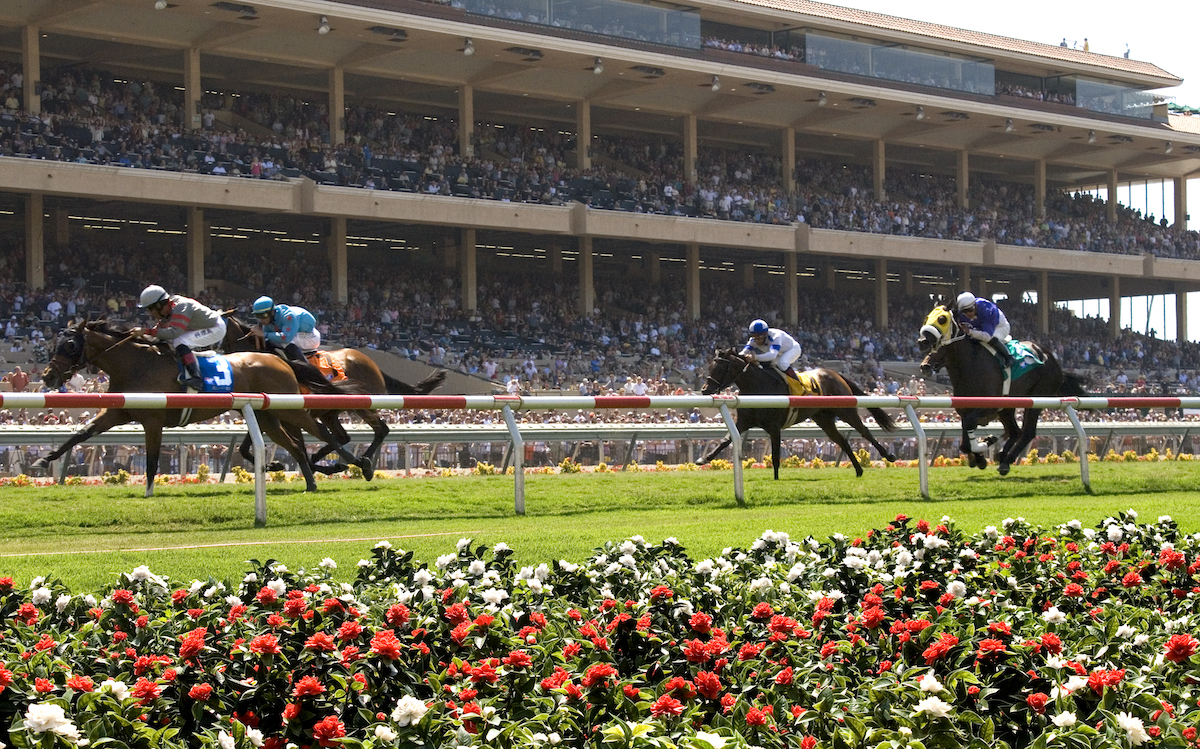 Del Mar delights: as usual, the stands are packed as runners charge to the finish. Photo: DMTC