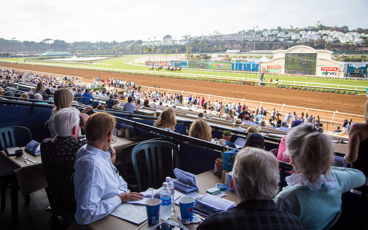 Best seat in the house? Trackside fans watch racing on the turf track. Photo: DMTC