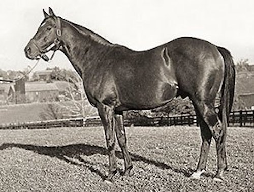 Nasrullah: ornery character whose racing career became a five-time champion sire in North America