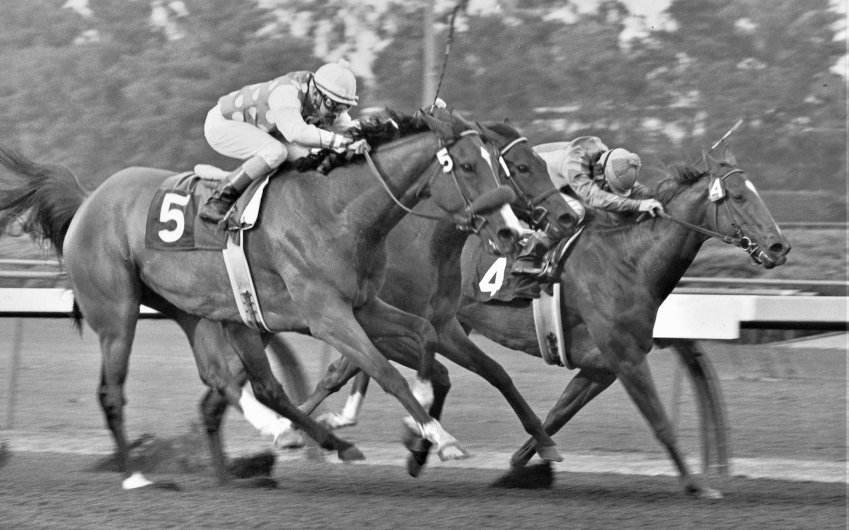 Showing her versatility, Tizna wins the seven-furlong Hawthorne Handicap at Hollywood Park over Modus Vivendi and Lucky Spell. Photo courtesy of Hollywood Park provided by Edward Kip Hannan & Roberta Weiser