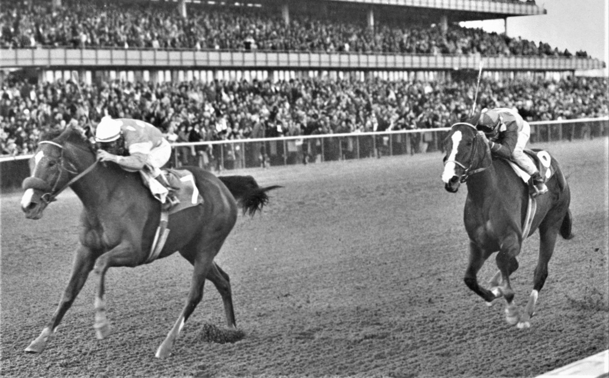 Tizna reverses the Beldame disappointment with a victory in the 1975 Ladies Handicap at Aqueduct. Photo courtesy of Keeneland Library