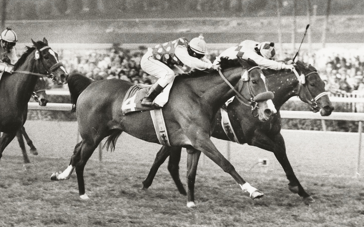 In her final stakes victory, Tizna carries 132 pounds to win the 1976 San Gorgonio Handicap. Photo: Santa Anita Park
