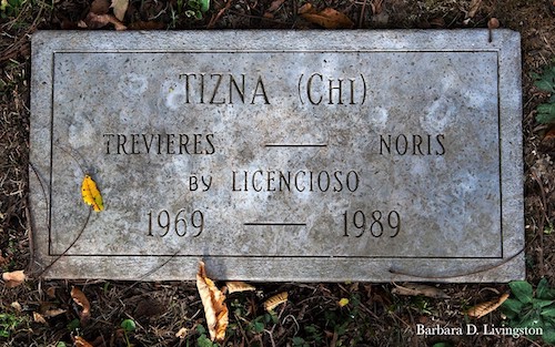 Tizna is buried in good company at Overbrook Farm in Kentucky. Photo: Barbara Livingston