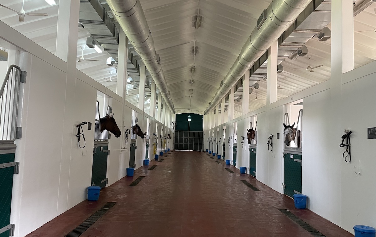 Training heaven: one of the barns at Jebel Ali Stables, where Michael Costa will handle 60-70 horses for the 2022-23 UAE season. Photo: Laura King