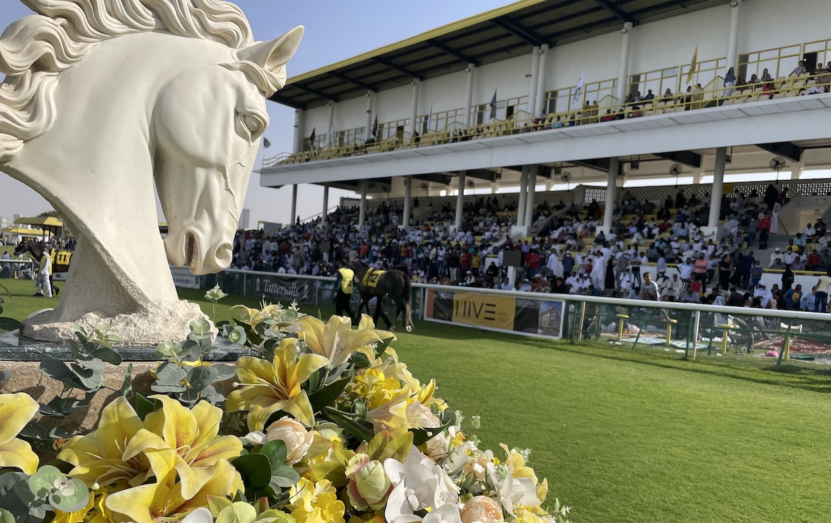 In the paddock: a typical scene from a day’s racing at Jebel Ali, home to Sheikh Ahmed’s operation. Photo: Laura King