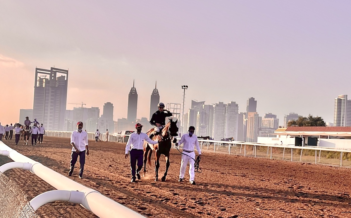 The dirt track at Jebel Ali, with the Dubai skyline in the background. Photo: Laura King