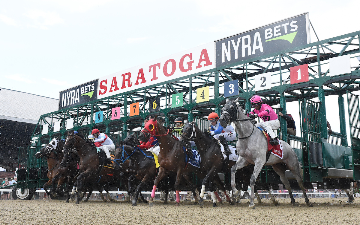 They’re off: the field exits the starting gate for the first race at Saratoga in July 2022, a claimer won by Royal Tryst. Photo: NYRA/Adam Coglianese