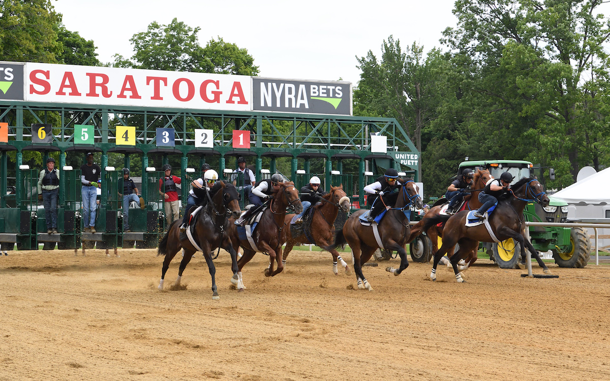 First trial in early July of the new Wilson Chute, an important innovation for the 2022 Saratoga meet. Photo: NYRA/Adam Coglianese
