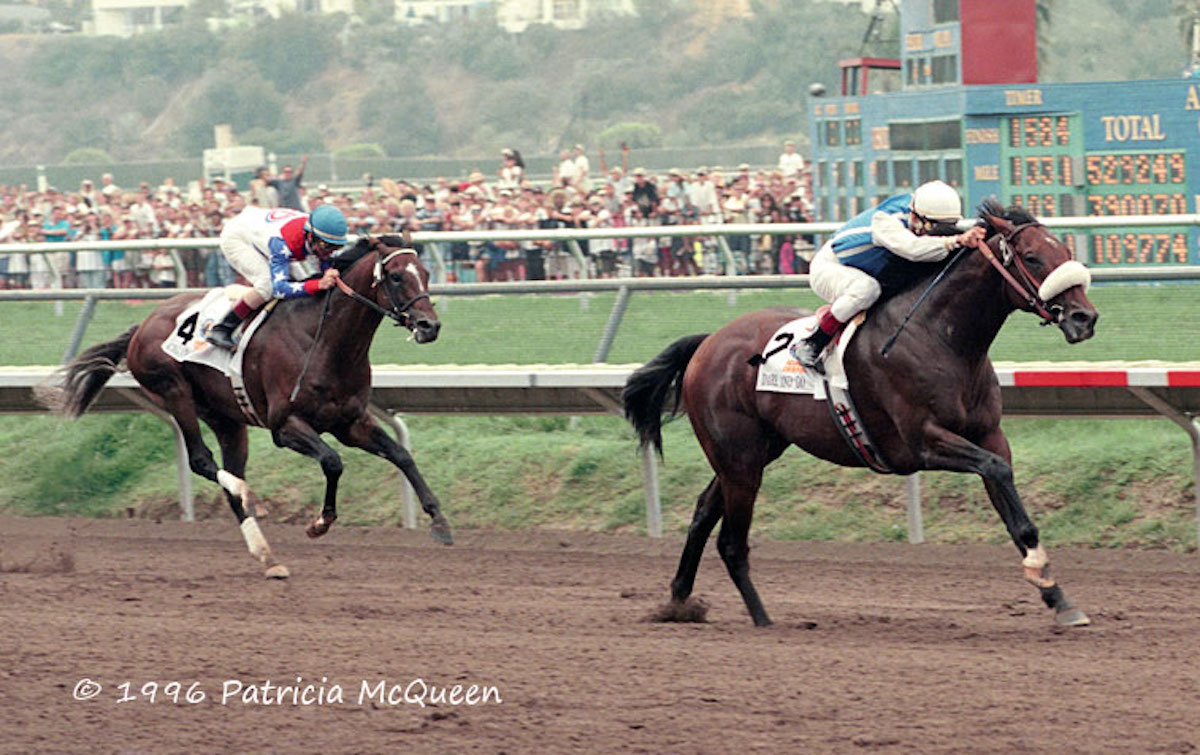 Shock result: 40-1 longshot Dare And Go (Alex Solis) snaps the legendary Cigar’s winning streak in a notorious Pacific Classic at Del Mar in August 2016. Photo: Patricia McQueen