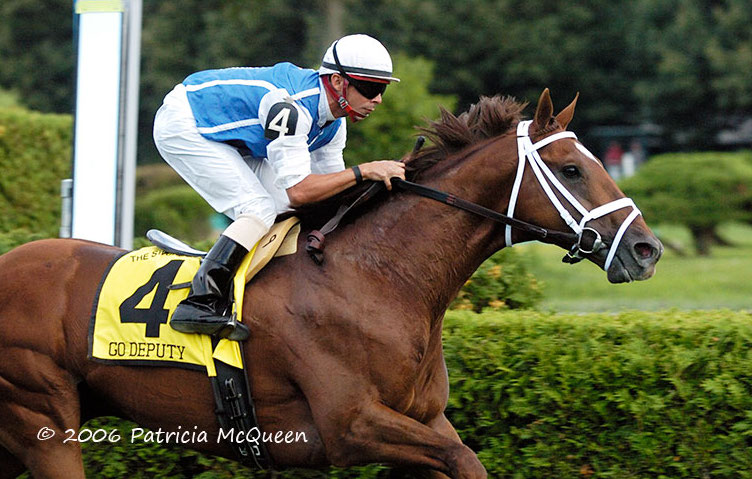 Go Deputy: leading US turf performer became his dam Partygoer’s second G1 winner in the Sword Dancer. Photo: Patricia McQueen