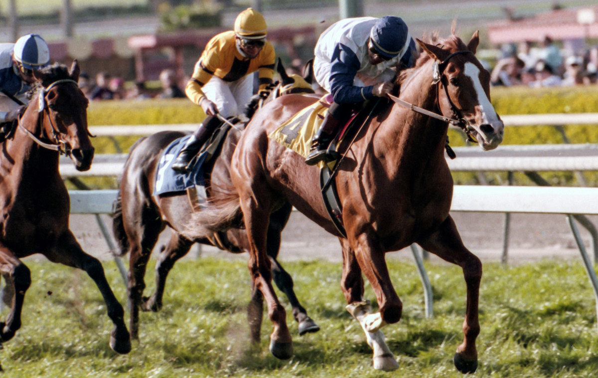 Sandpit bounces away from his opposition in the 1995 San Luis Rey Stakes at Santa Anita, making a mile and a half look easy. Photo: Benoit photo