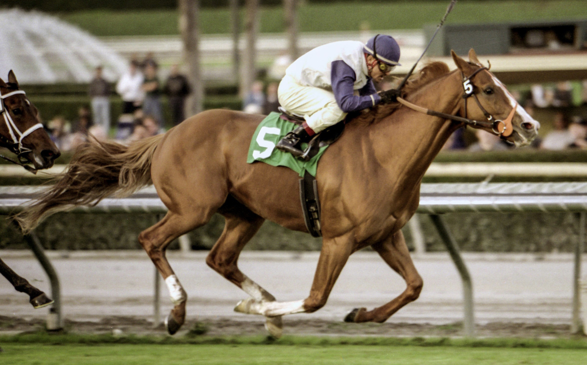The eight-year-old Sandpit struts his stuff in the 1997 San Marcos Handicap, his final major victory. Photo: Benoit