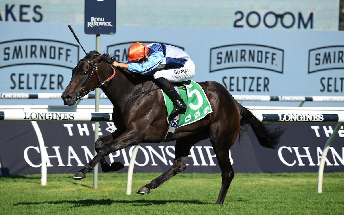 Duais: Melbourne Cup hope took form to new level last term for Edward Cummings with victories in Australian Cup and Tancred Stakes. Photo: Bradley Photographers