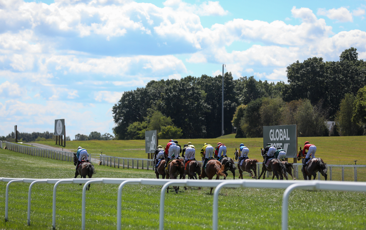 Kentucky Downs is far removed from the pan-flat dirt ovals that characterise the remainder of America’s racetracks. Photo: Grace Clark / Kentucky Downs