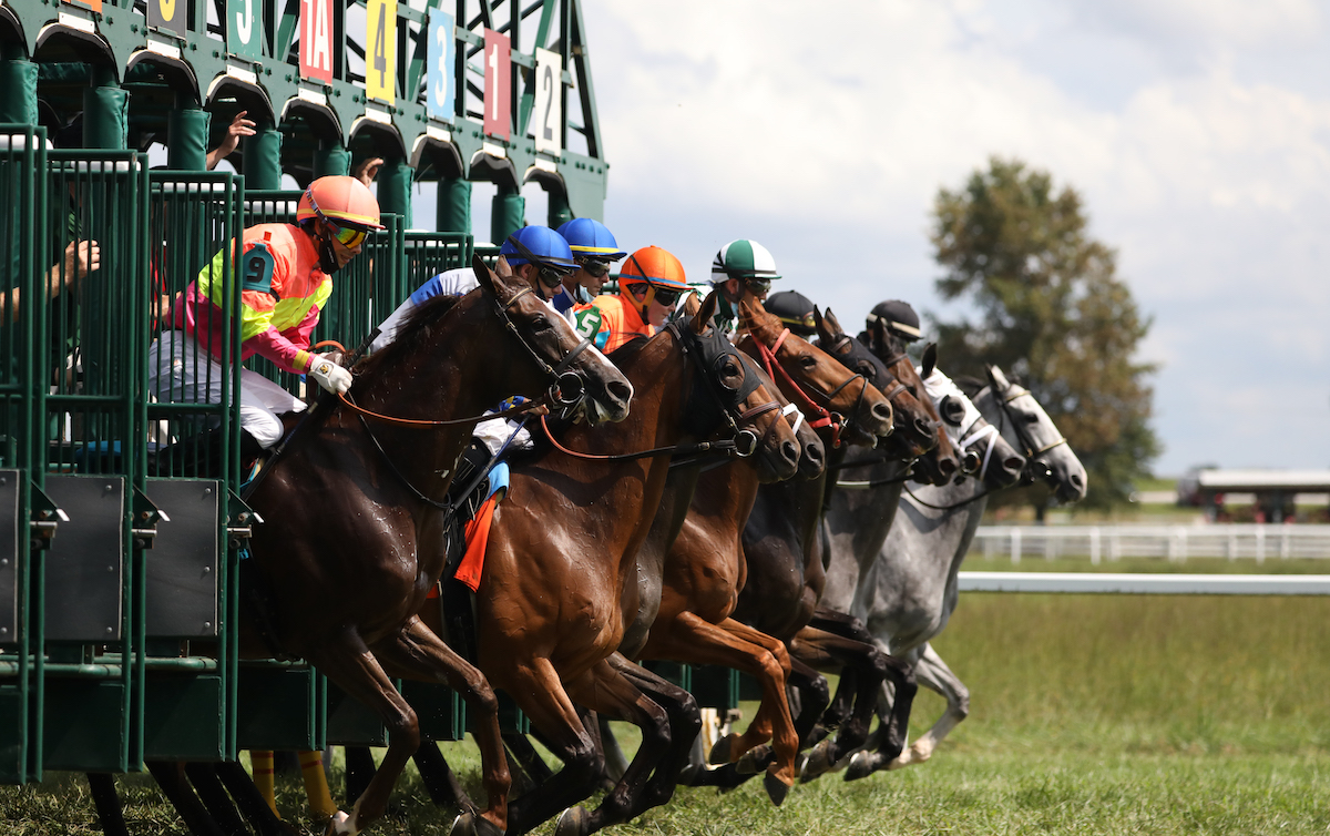 Success story: they’re off at Kentucky Downs, a distinctive venue located on the state border with Tennessee. Photo: Grace Clark / Kentucky Downs
