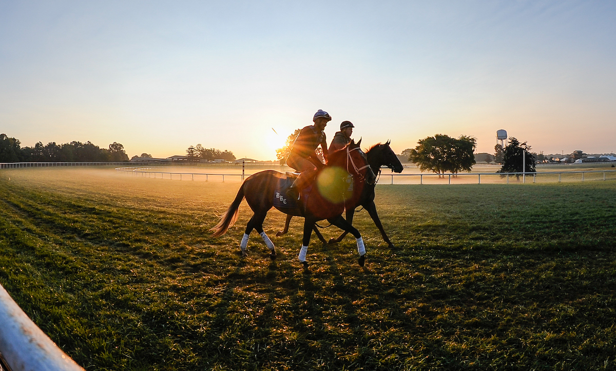 Sun’s coming up: a typical morning scene on the turf circuit at Kentucky Downs. Photo: Grace Clark / Kentucky Downs