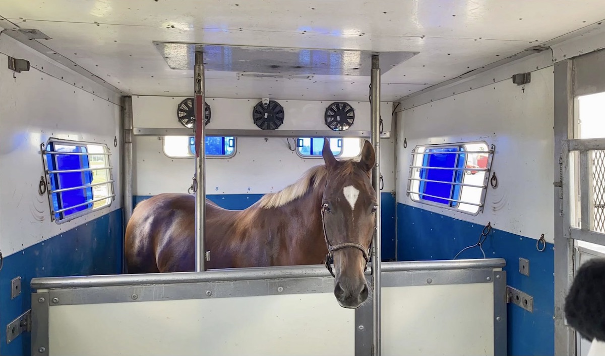 Barn on wheels: trailers are equipped with well-ventilated box stalls eight-feet wide, six-feet deep, and ten-feet corner to corner. Photo: Brook Ledge