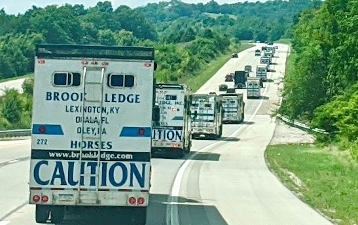 Coast-to-coast convoy: a fleet of Brook Ledge trucks transporting their equine charges across the country. Photo: Craig Sappington/Brook Ledge