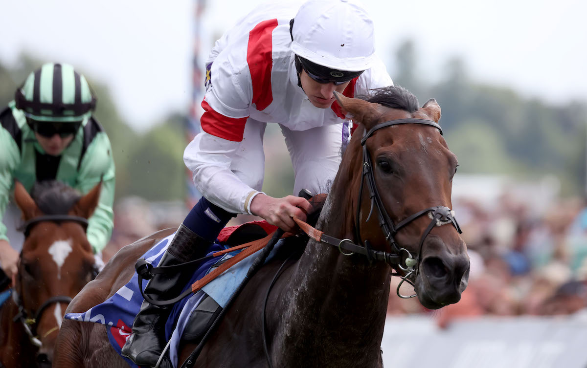 Deauville Legend (Daniel Muscutt) storms home to win the Great Voltigeur Stakes at York’s Ebor meeting. Photo: Dan Abraham / focusonracing.com